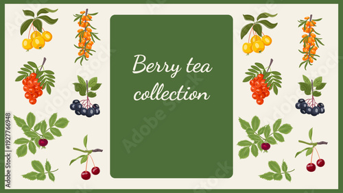 Botanical berry tea collection banner with vintage frame and herbs. Natural packaging template for labels, branding, cards and organic product design.