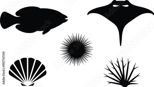Black silhouette icons of ocean creatures: fish, stingray, sea urchin, seashell, and underwater plant, ideal for nautical themes.