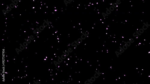 桜の花びらが舞い散る、4K画質、背景透過のループ素材