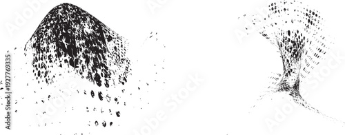 Vector particle flow formed by dynamic black textures. Organic particle shape with depth and movement. Noise texture with dynamic particle textures for design overlay.