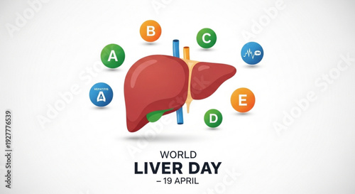 Liver illustration on world liver day with colorful letters and anatomy