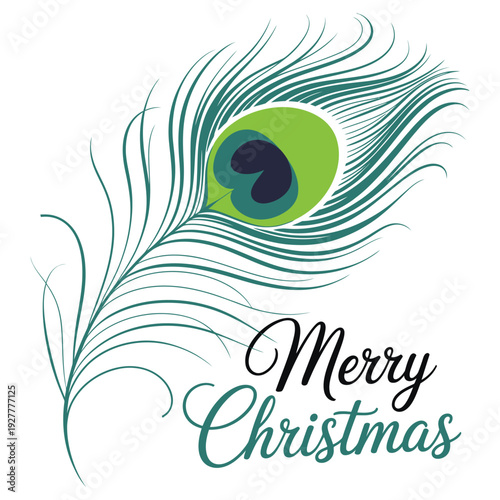 Wallpaper Mural A colorful peacock feather vector illustration with an eye-inspired design symbolizing beauty and vision Torontodigital.ca