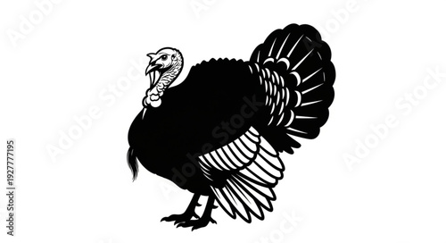 Black and White Turkey Bird Illustration.