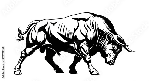 Black and White Bull Charging.