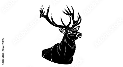 Black and White Deer Illustration.