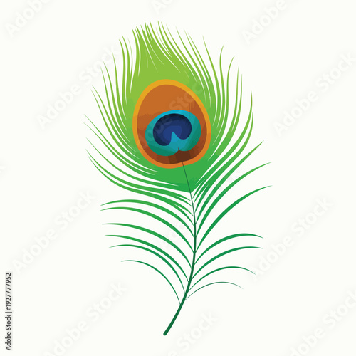 Wallpaper Mural Peacock Feather Vector Illustration Icon Eye Beauty Design Green Cartoon Torontodigital.ca