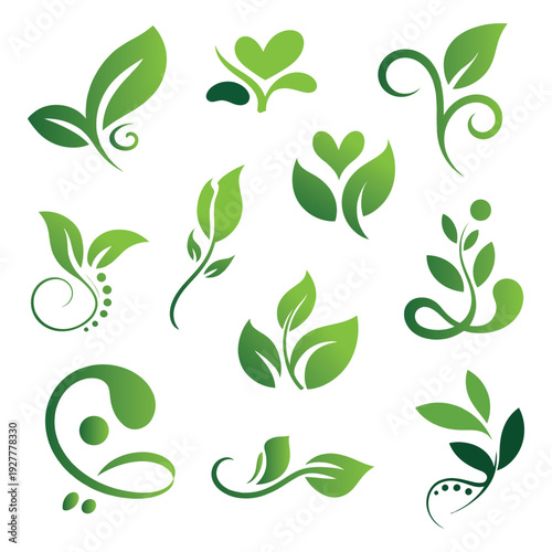 Wallpaper Mural Green leaves vector set with nature and eco icons for floral and organic design elements Torontodigital.ca