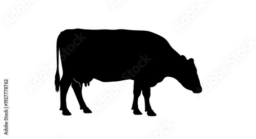 Black Cow Silhouette Profile View.