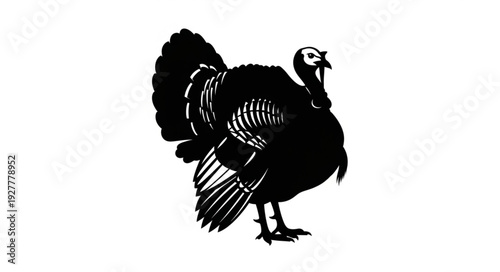 Black and White Turkey Illustration.