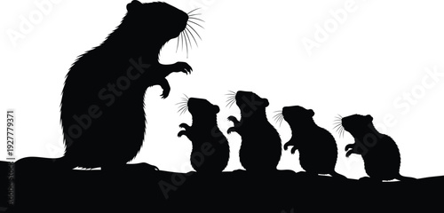 Silhouette of a mother marmot and her adorable little ones
