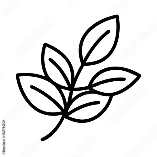 Outline illustration of a branch with five leaves, representing nature and growth.
