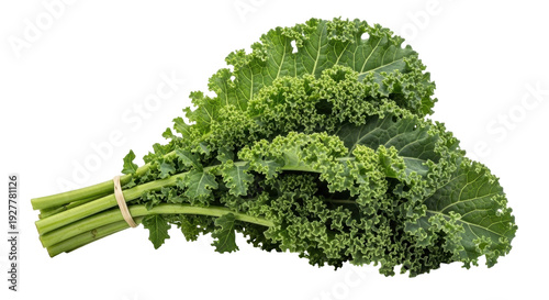 Photos Isolated curly kale with stems, healthy ingredient for green detox smoothies, sa