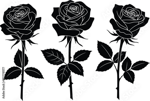 Three black roses with stems and leaves illustration