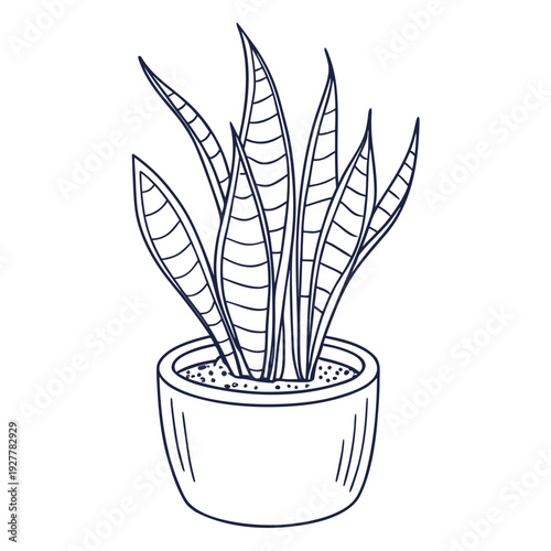 Hand Drawn Snake Plant Illustration in White Pot