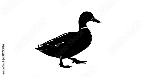Black Duck Silhouette Walking Alone.