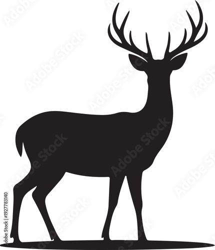 Deer vector illustration