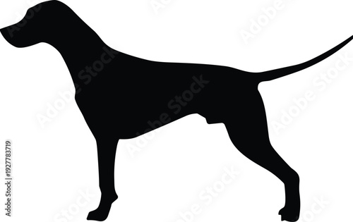 Dog silhouette standing on four legs with long tail floppy ears snout simple black animal shape logo design concept flat vector