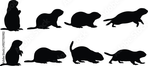 Evolution of a creature through various postures and movements