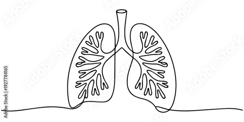 Continuous one line drawing of lungs medical anatomical organ isolated on white background