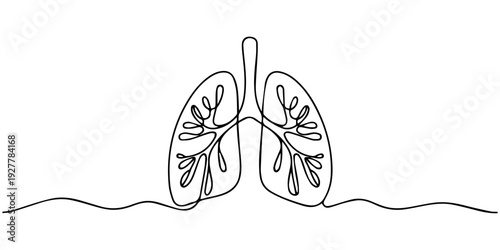 Continuous one line drawing of lungs medical anatomical organ isolated on white background