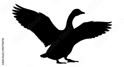 Black Silhouette Bird in Flight.