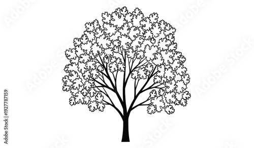 A black and white illustration of a tree with many flowers on its branches
