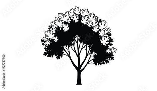 A black silhouette of a tree with a sprawling canopy