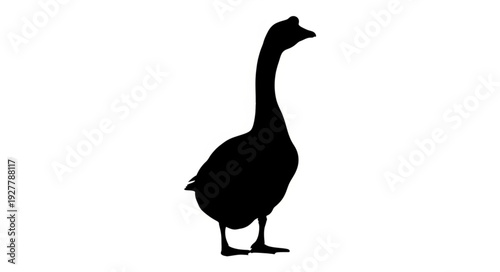 Black Silhouette of a Goose.