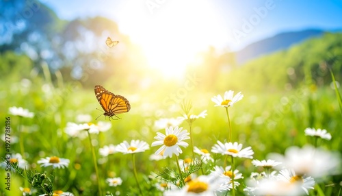 Vibrant butterflies flit among white-petaled flowers in a sunlit green meadow