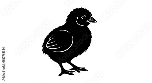 Black Silhouette of a Chick.