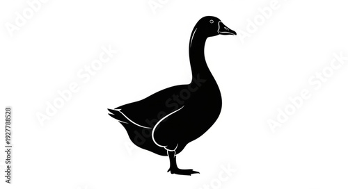 Black Silhouette of a Duck.