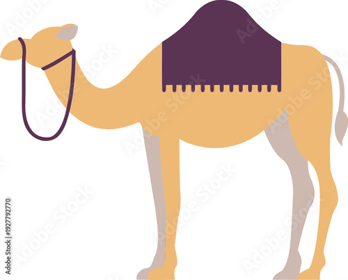 Camel with saddle and harness.