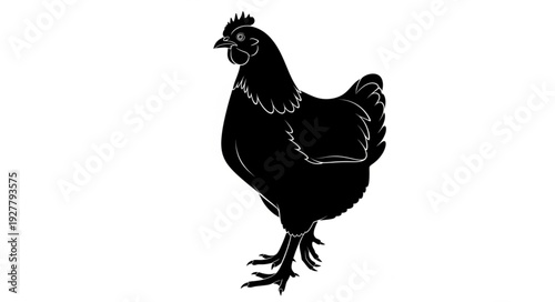 Black Silhouette of Chicken Standing.