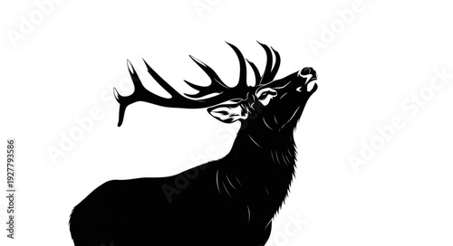 Black Silhouette of Deer Head.