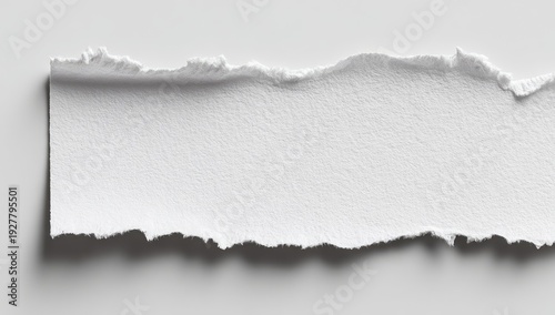Close-up of a torn strip of white paper, casting a subtle shadow on a neutral surface