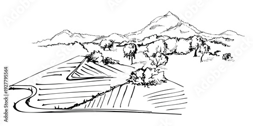 Stylized farmland landscape with cultivated field patches, trees and mountains in distance, country road. Isolated ink vector hand drawn illustration. Organic food labels, natural cosmetics branding