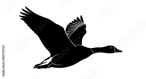 Black Silhouette of Flying Goose.