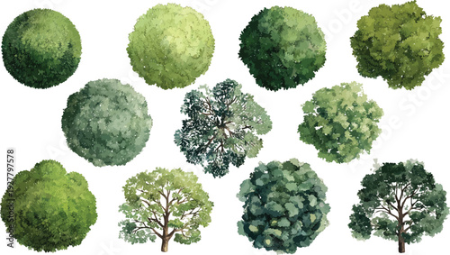 Collection of diverse green trees and bushes in various shapes and sizes foliage leaves