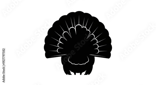 Black Silhouette of Peacock Displaying Feathers.