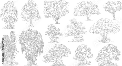 Black and white line collection of diverse trees and bamboo plants. Various tree shapes and sizes are depicted with detailed foliage and trunks