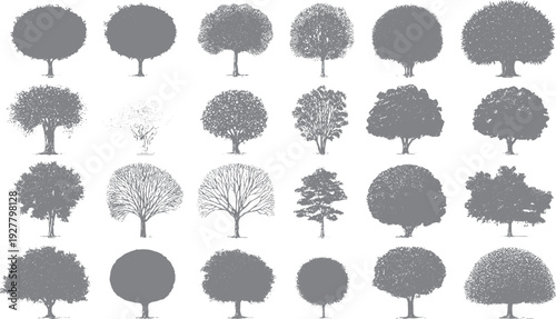 Collection of twenty four grey trees with varied foliage and branch structures on a white background