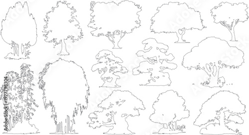 Diverse tree outlines including bamboo willow and deciduous varieties on white background