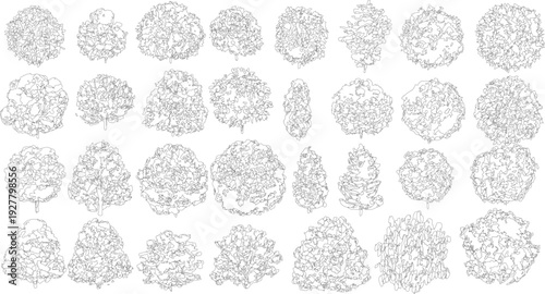 Collection of black and white line trees in various shapes and sizes some round some conical some irregular