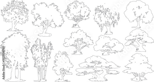 Collection of diverse tree outlines and bamboo stalks in a simple line style plant