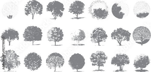 Collection of diverse grey tree silhouettes with varied foliage textures and branch structures nature