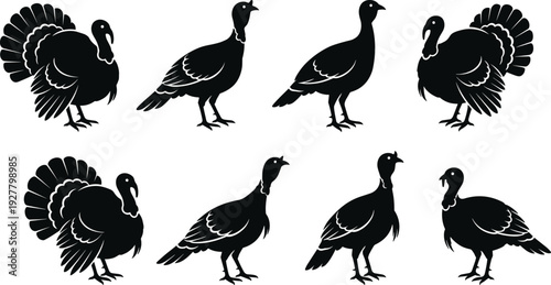 Turkey silhouettes in multiple poses, black and white vector farm bird collection isolated on light background, poultry wildlife illustration for logo, icon, branding, thanksgiving, and pattern design
