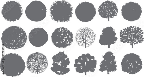 Collection of grey tree silhouettes with varied foliage and branch structures nature plant