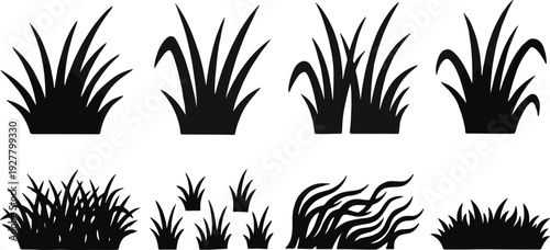 Set of grass and plant silhouettes in various shapes and styles, botanical vector illustration collection isolated on white background for garden and landscape design
