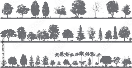Collection of diverse tree silhouettes in grey tones against a white background showing deciduous and coniferous varieties