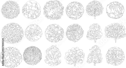 Collection of black and white line trees from and side views nature plant plants